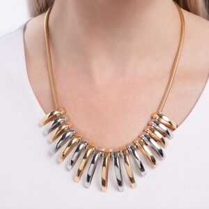 Chic Two-Tone Necklace